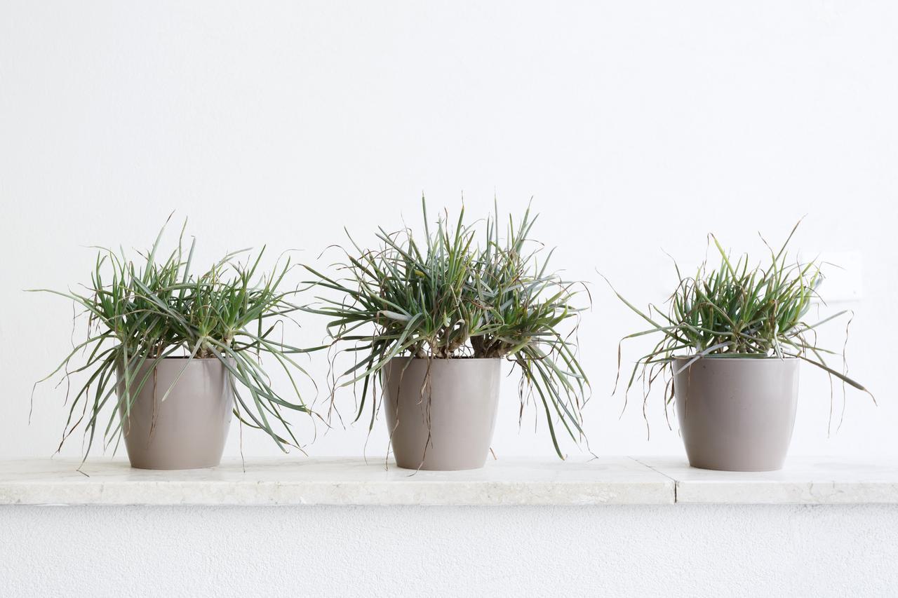 גאליפולי Minimal Rooms מראה חיצוני תמונה